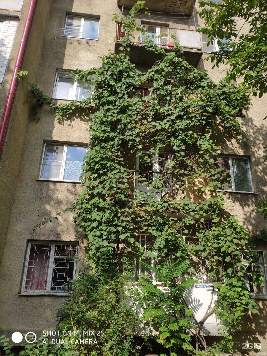 Отзывы на компанию Серебряный рай в Железноводске c фото - фотография 2 из 2