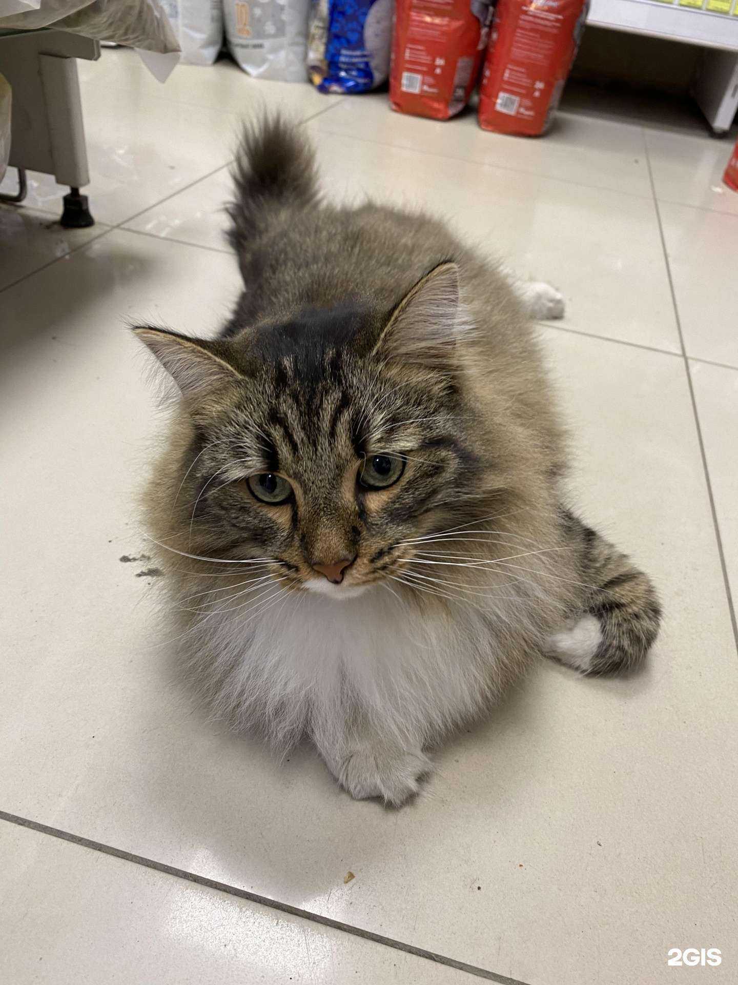 Отзывы на компанию Мир природы в г. Екатеринбург c фото