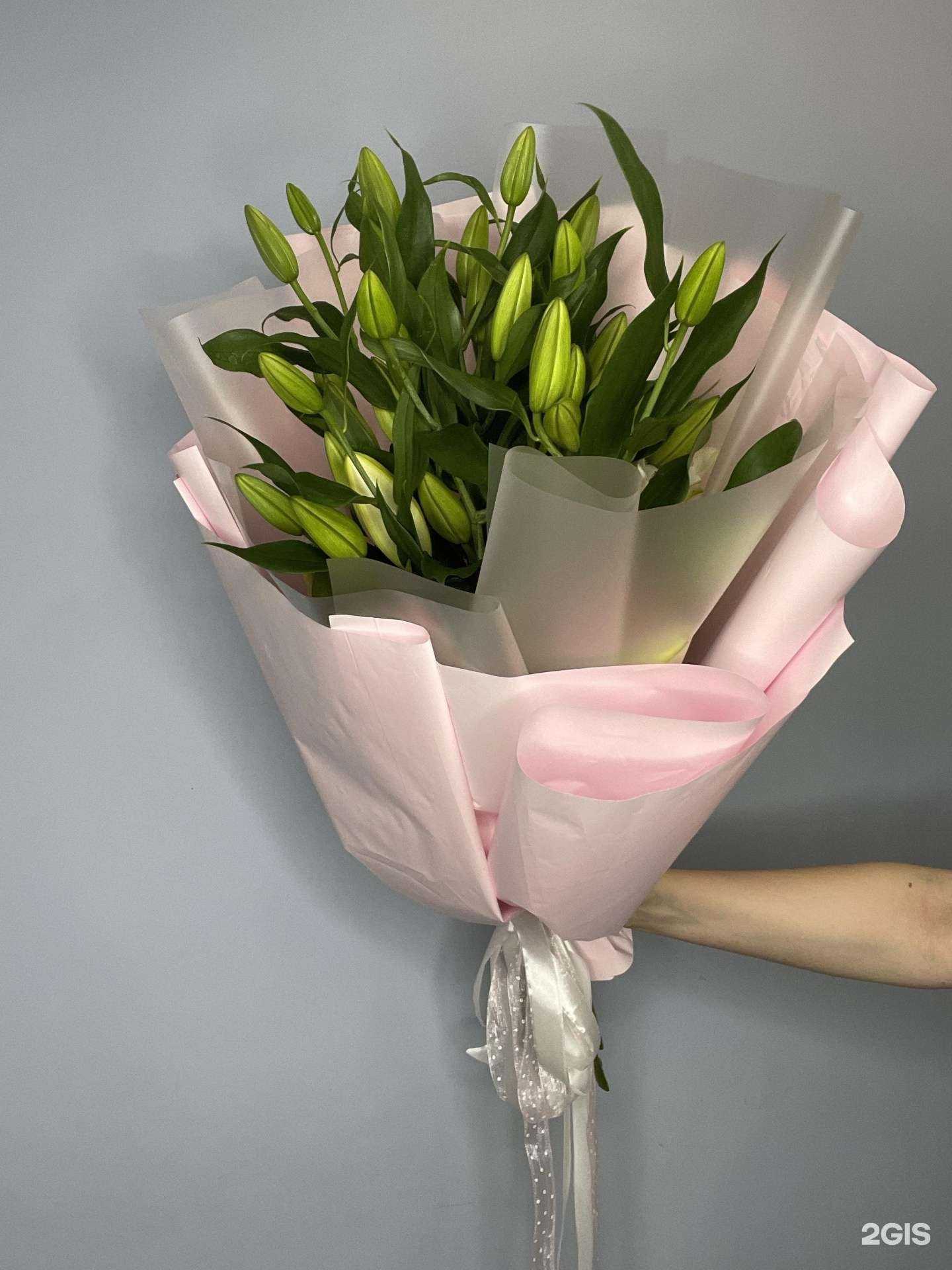 Отзывы на компанию Цвет водолея в г. Иваново c фото