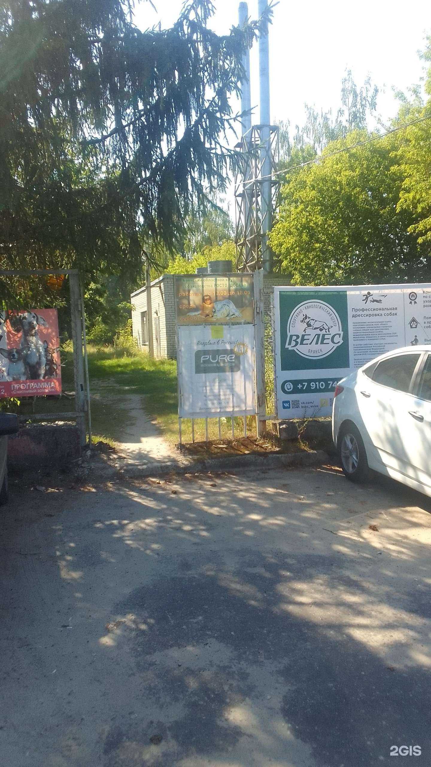 Отзывы на компанию Партизаны в г. Брянск c фото