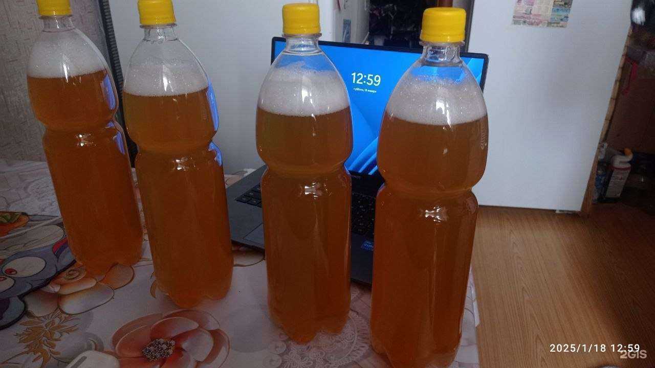 Отзывы на компанию Madmishka в Казани c фото