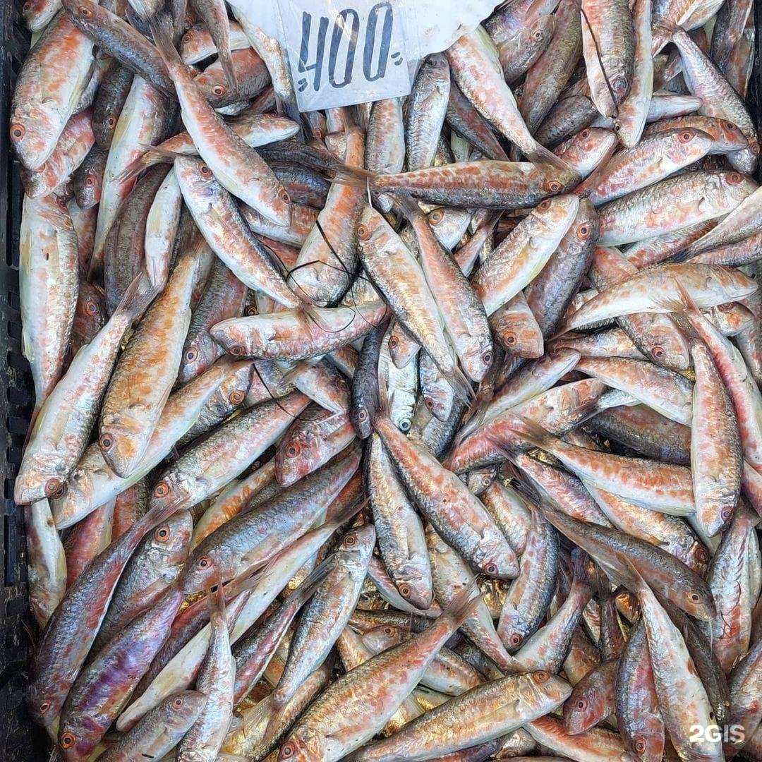 Отзывы на компанию Рыбный рай в г. Туапсе c фото