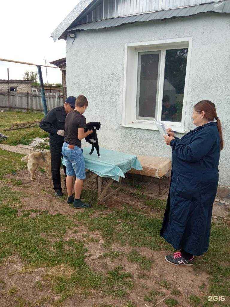 Отзывы на компанию Марксовская районная станция по борьбе с болезнями животных в Марксе c фото