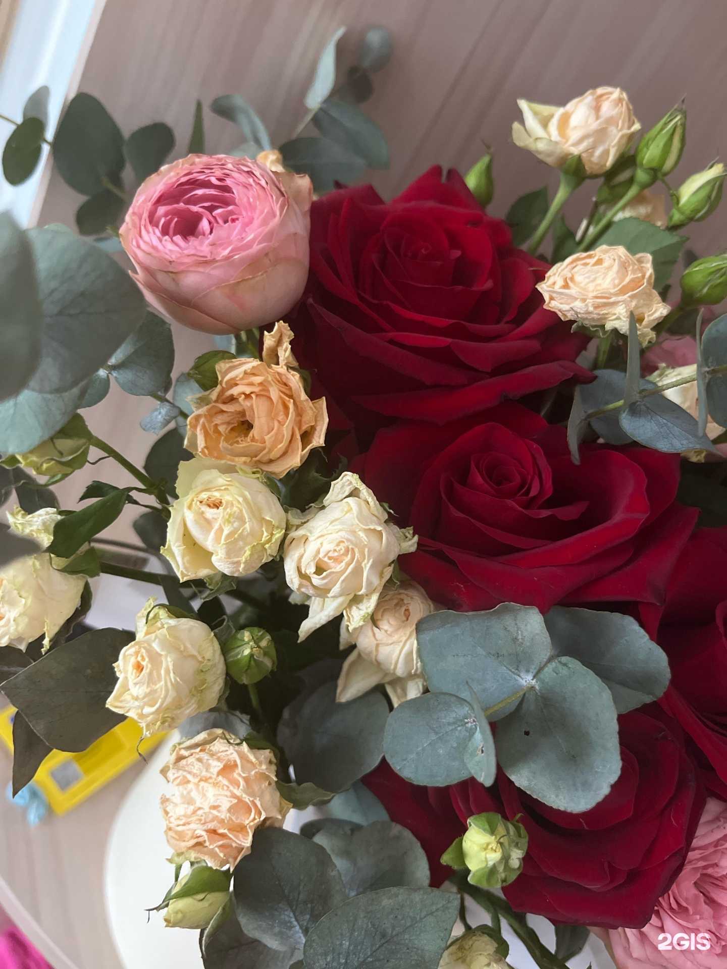 Отзывы на компанию Фантазия в Октябрьском c фото