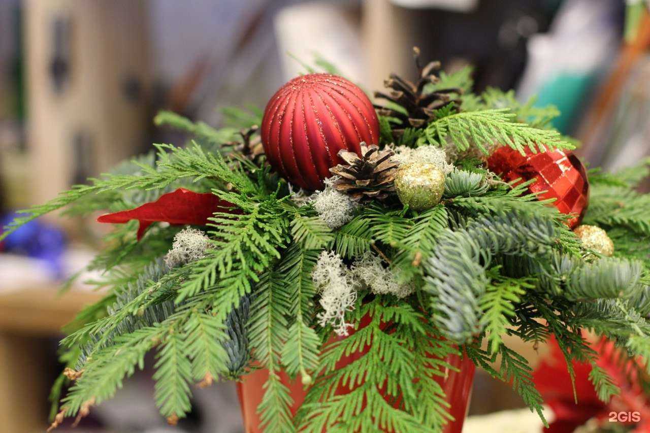 Отзывы на компанию Цветной в г. Архангельск c фото