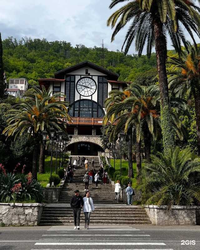 Отзывы на компанию Сочный Сочи в г. Сочи c фото