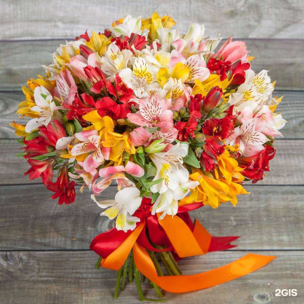 Отзывы на компанию Вероника в Екатеринбурге c фото