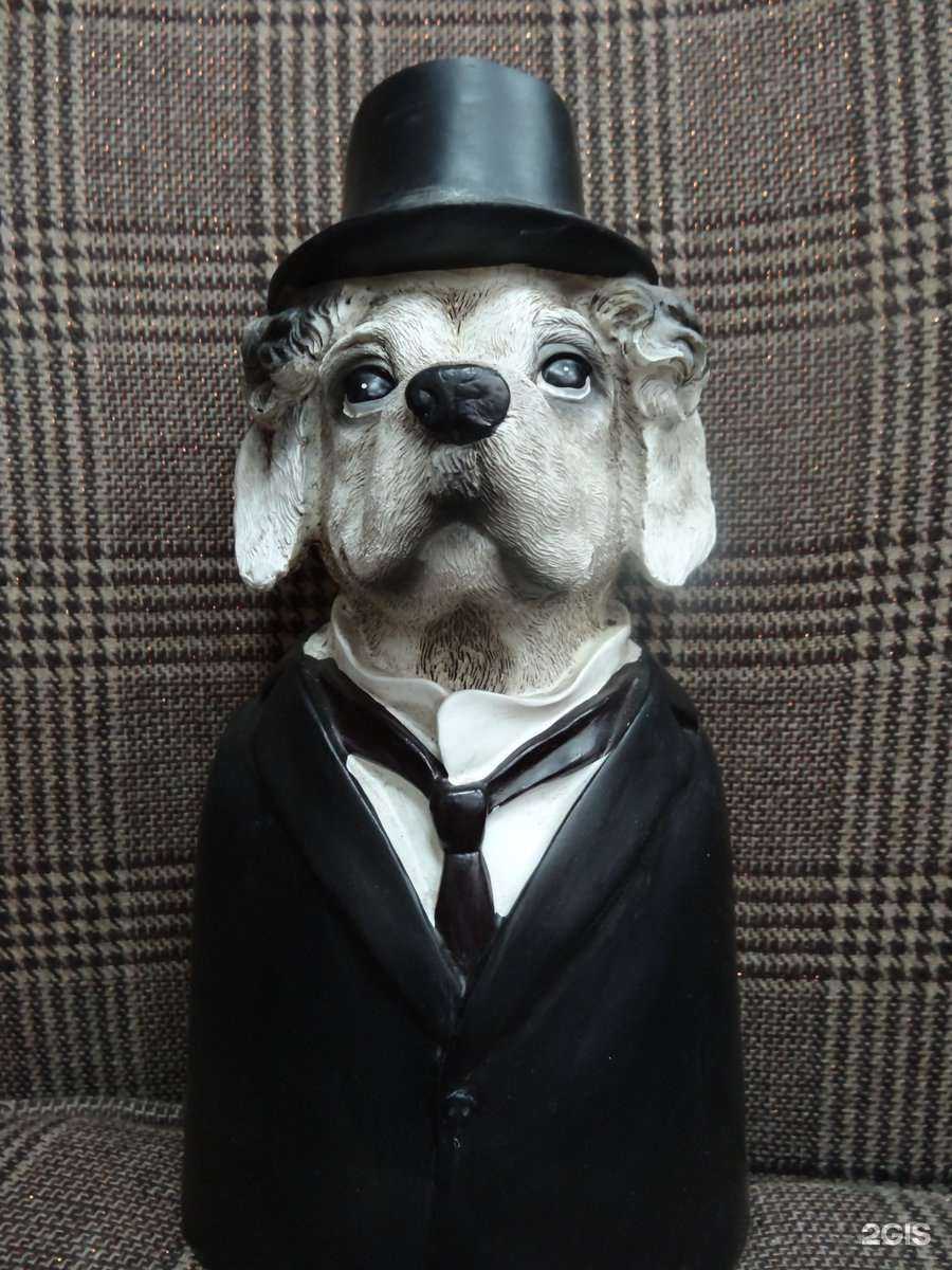 Отзывы на компанию Artишок в Краснодаре c фото