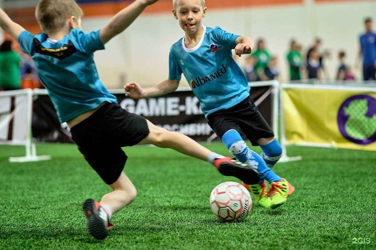 Отзывы на компанию Дриблер в г. Новосибирск c фото