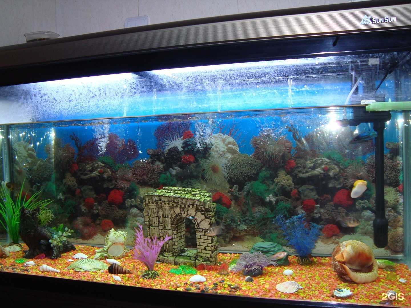 Отзывы на компанию Эстом в Чите c фото