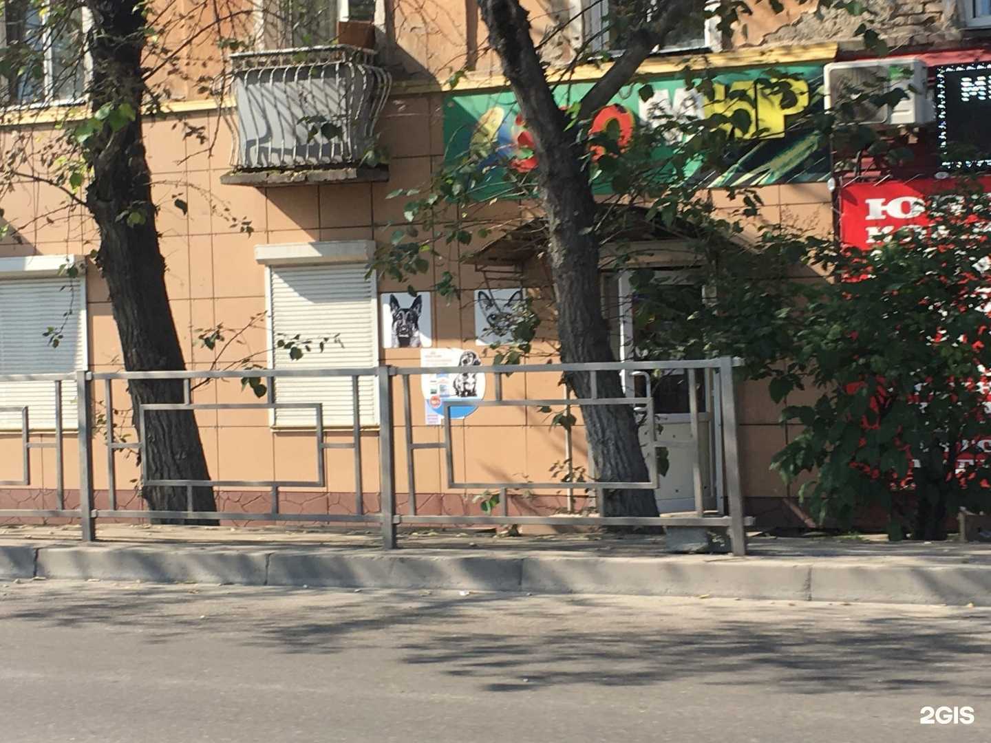 Отзывы на компанию Зоомир в Красноярске c фото