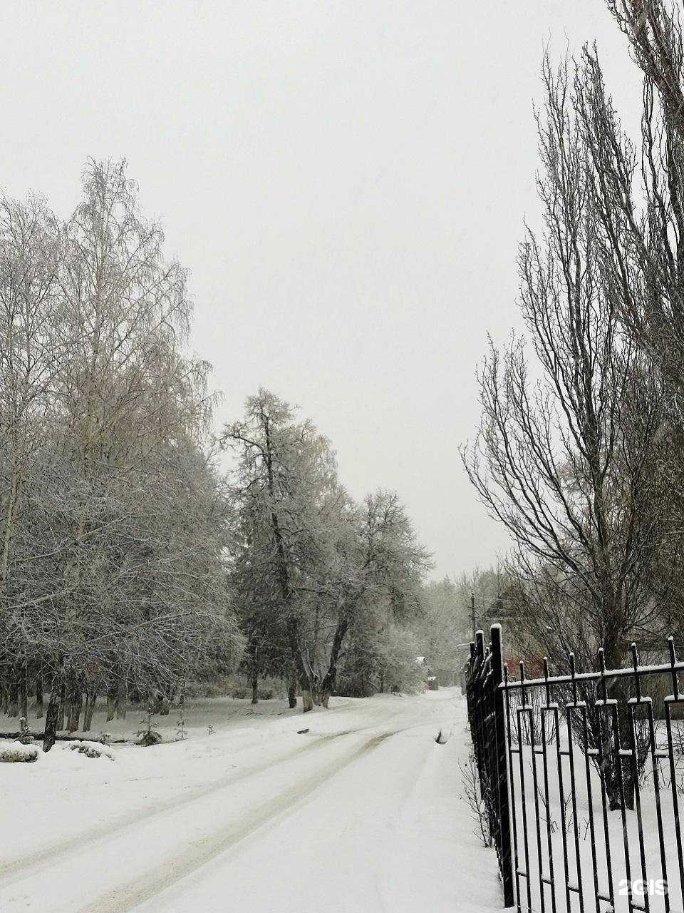 Отзывы на компанию Пензенский государственный аграрный университет в г. Пенза c фото