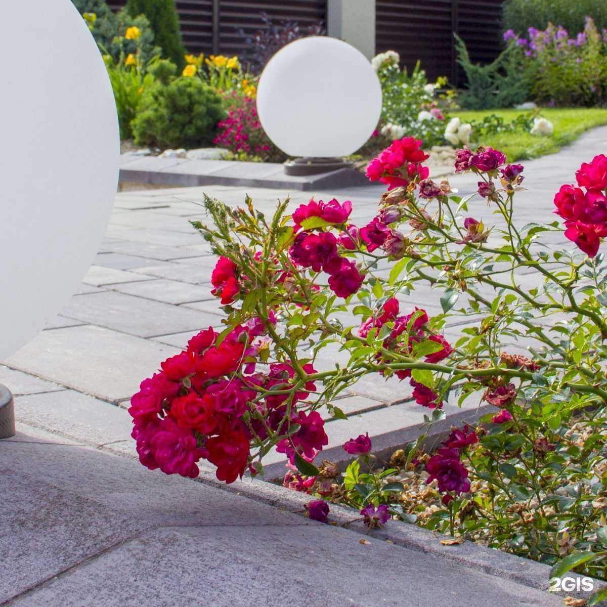 Отзывы на компанию АртФлора в г. Брянск c фото