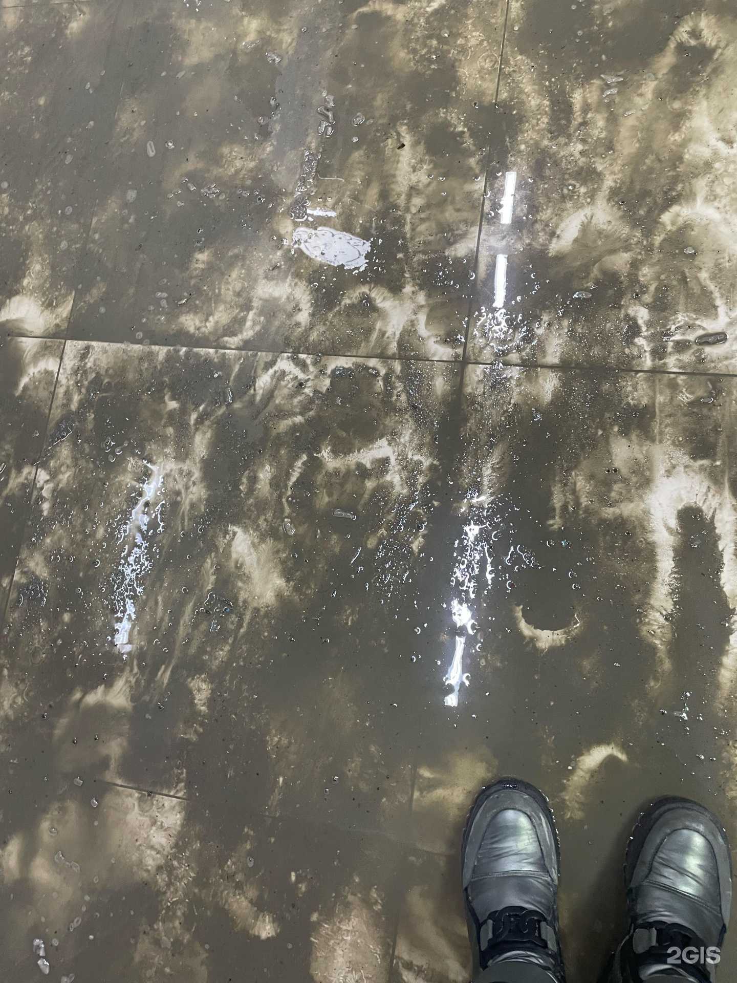 Отзывы на компанию Межениновская птицефабрика в Томске c фото - фотография 2 из 2