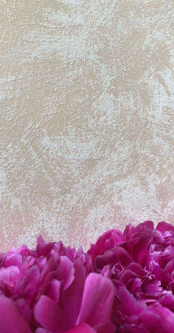 Отзывы на компанию Караван в Уфе c фото