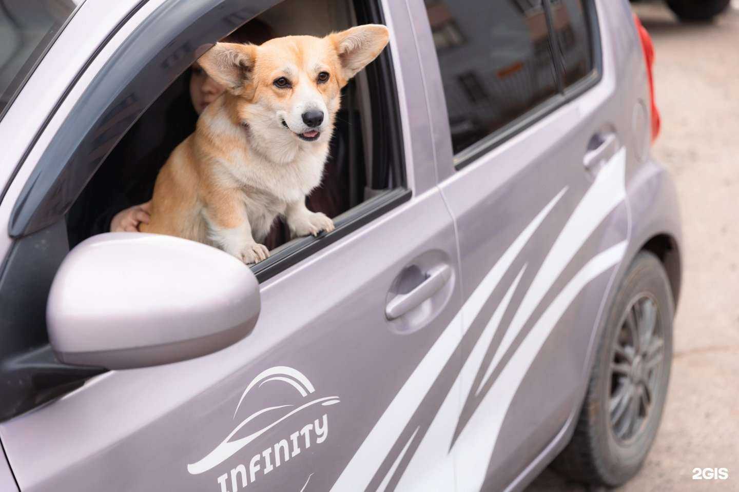 Отзывы на компанию Инфинити в Чите c фото