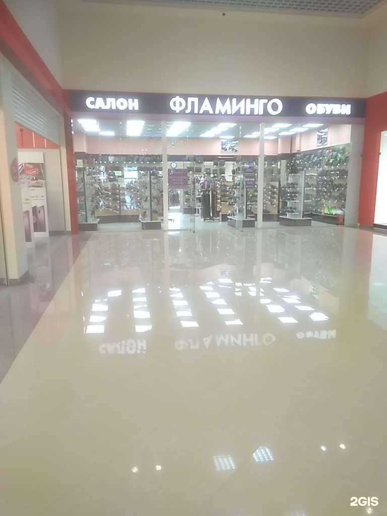 Отзывы на компанию Фламинго в Тамбове c фото