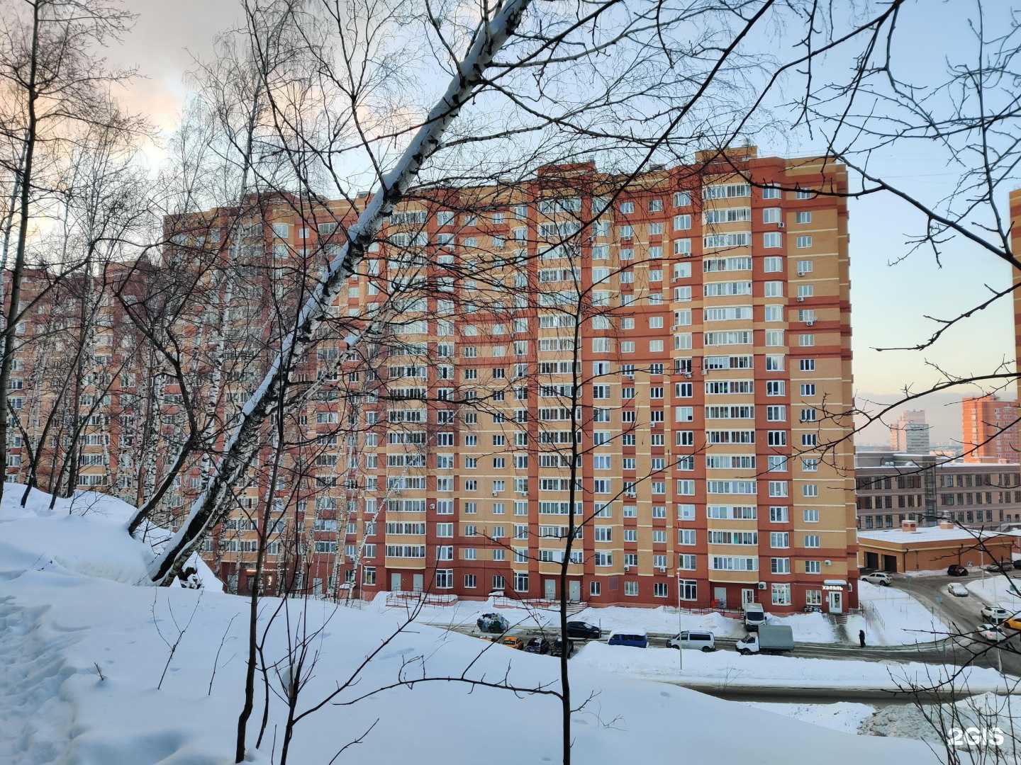 Отзывы на компанию SaidDent в Котельниках c фото - фотография 2 из 2