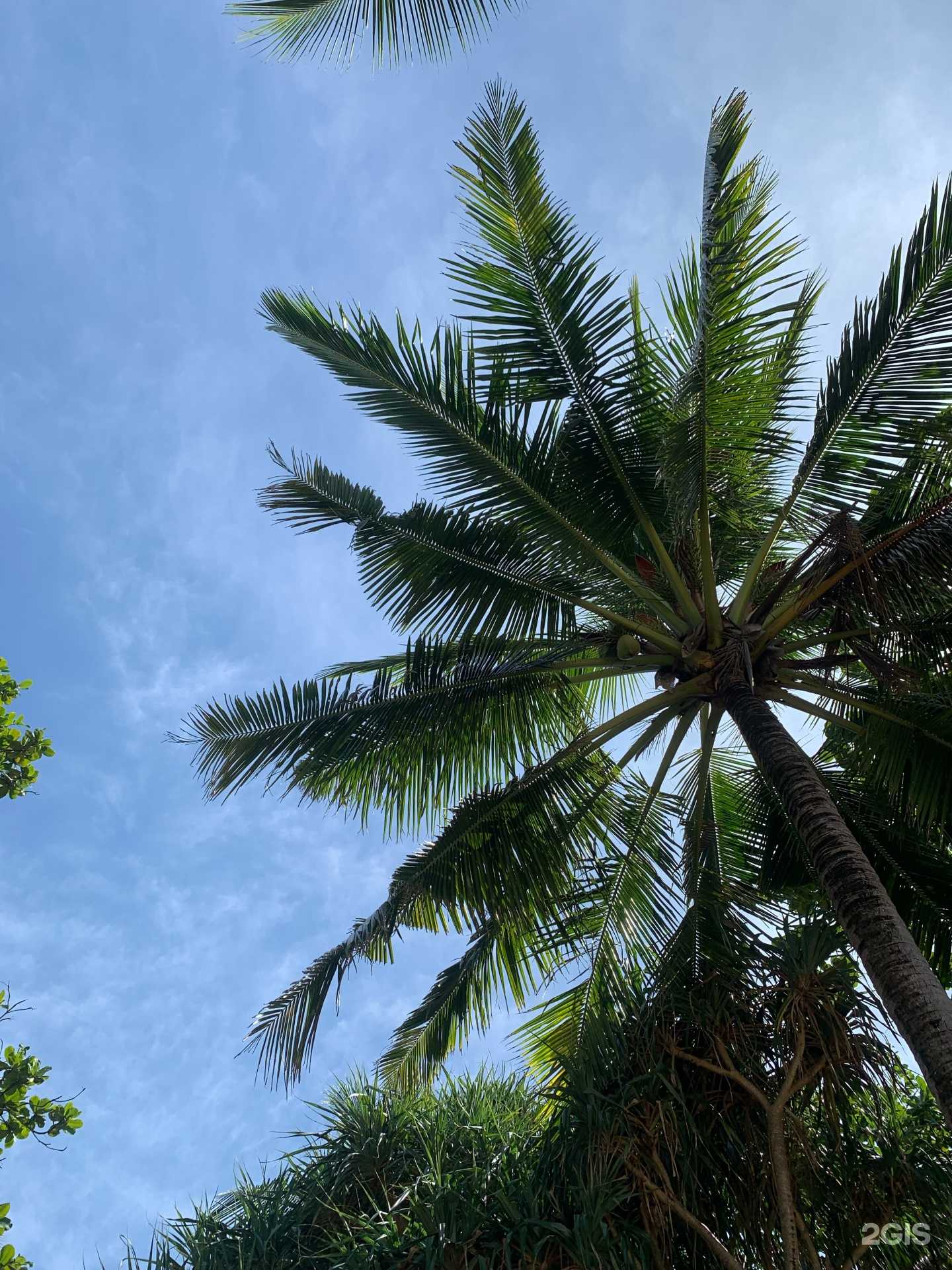 Отзывы на компанию Фэмэли Трэвэл в Тюмени c фото