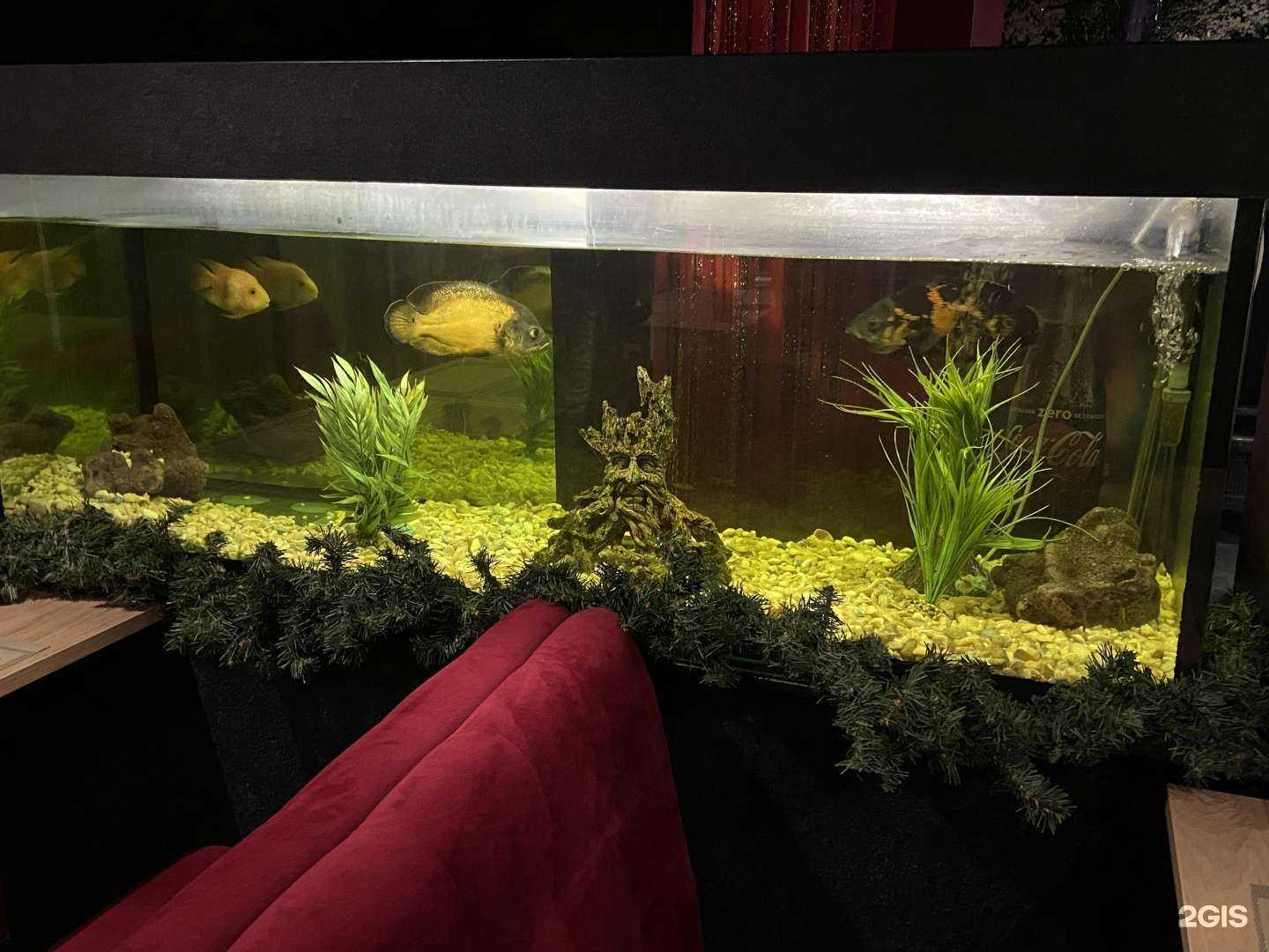 Отзывы на компанию СушиДо в г. Дзержинск c фото