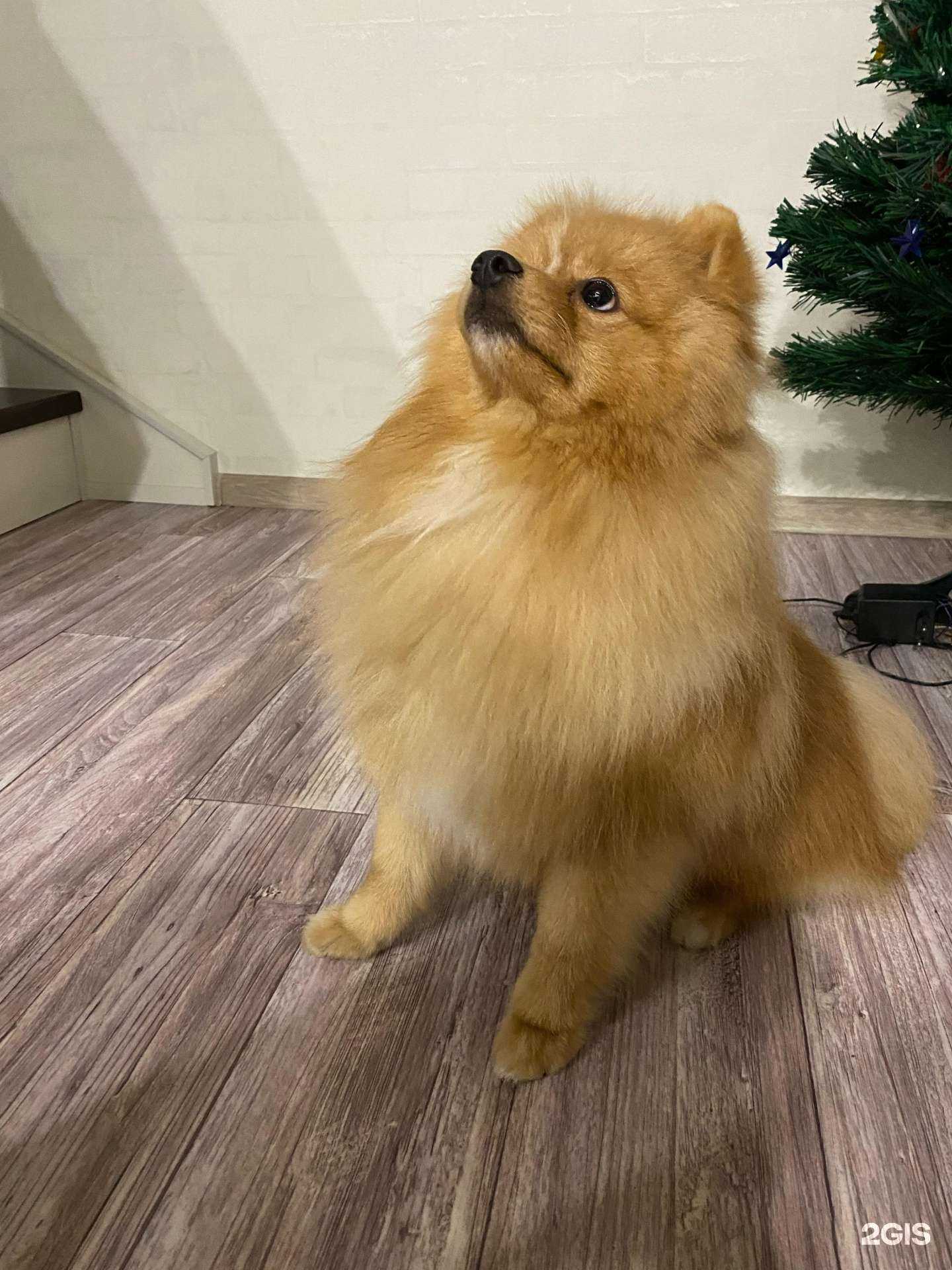 Отзывы на компанию Ветфарм в Миассе c фото