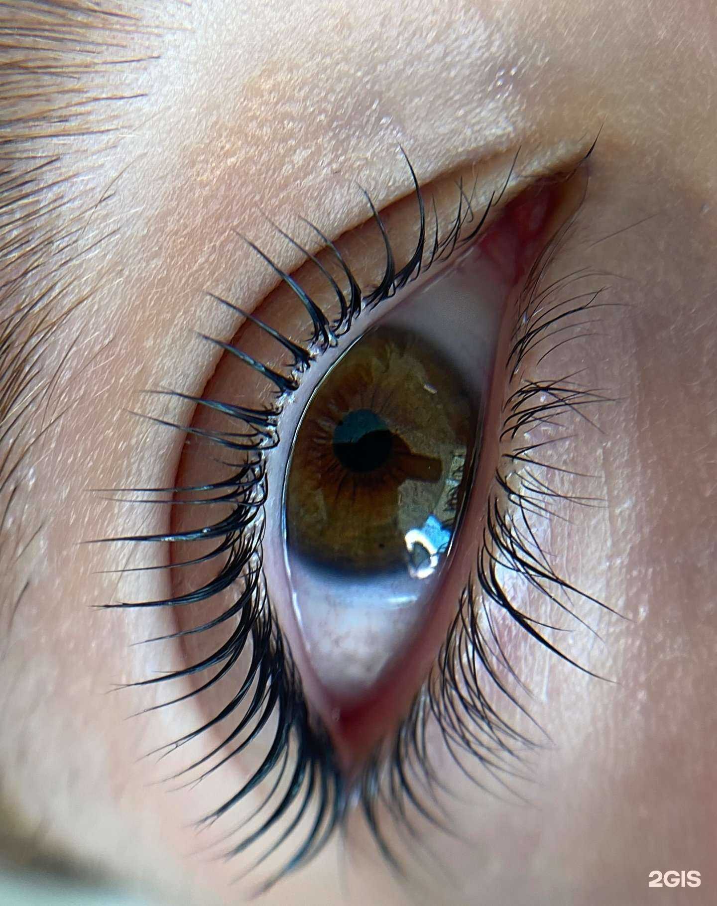 Отзывы на компанию Студия оформления ресниц и бровей в Владивостоке c фото