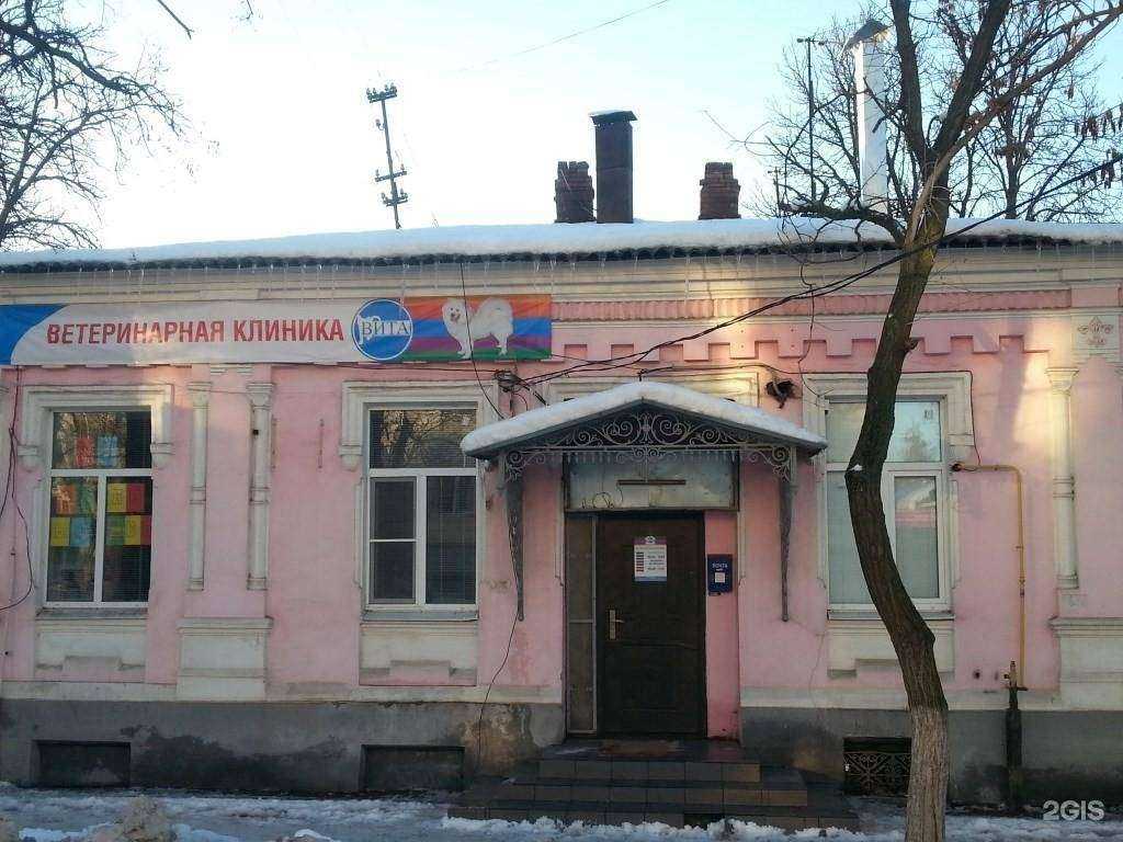 Отзывы на компанию Вита в г. Новочеркасск c фото