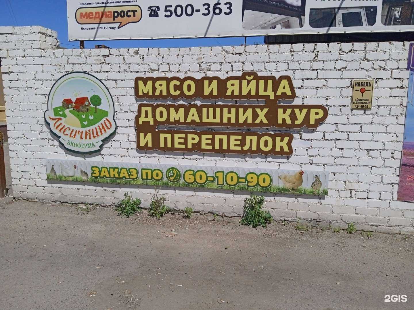 Отзывы на компанию Лисичкино в г. Ставрополь c фото