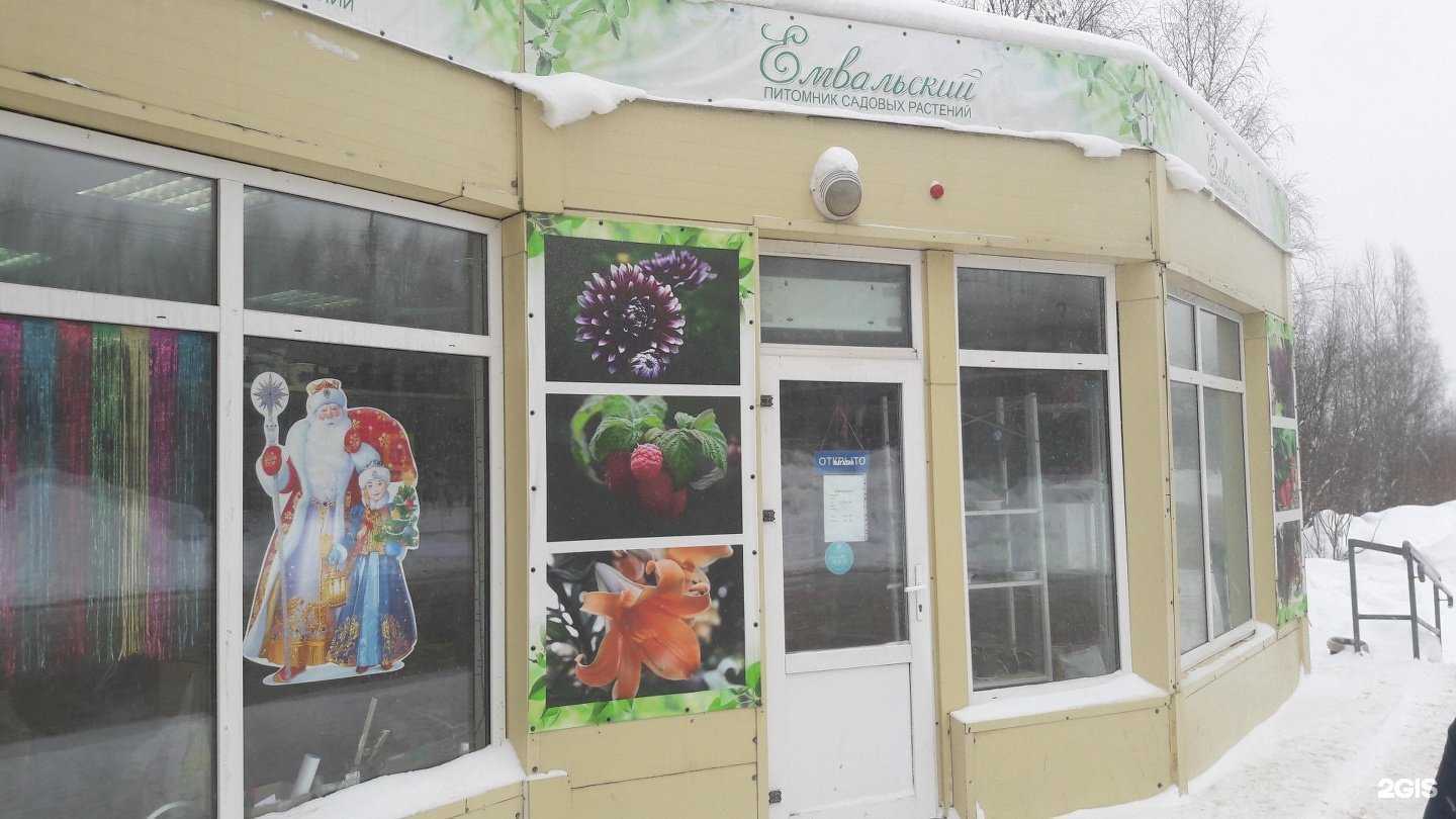 Отзывы на компанию Емвальский в г. Сыктывкар c фото