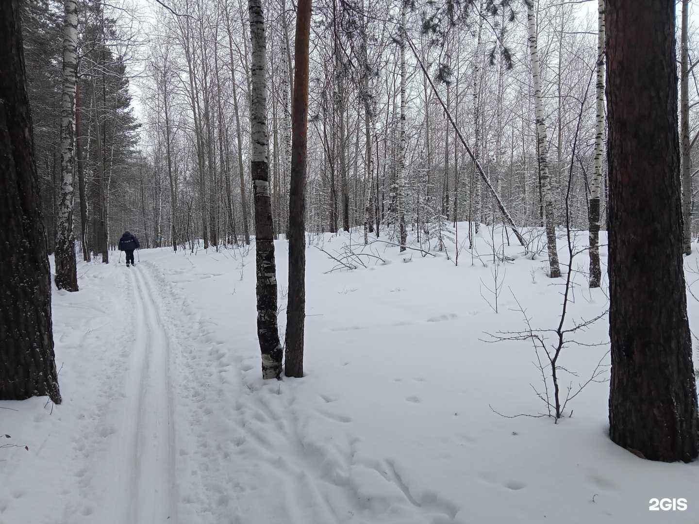 Отзывы на компанию Рингс в Екатеринбурге c фото - фотография 2 из 2