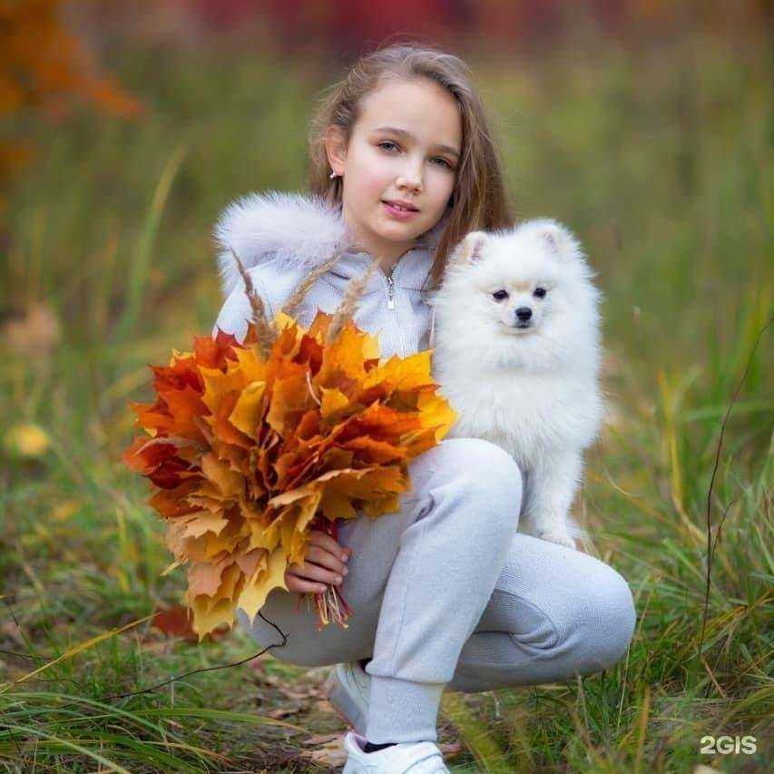 Отзывы на компанию Грумер на дом в г. Балашиха c фото