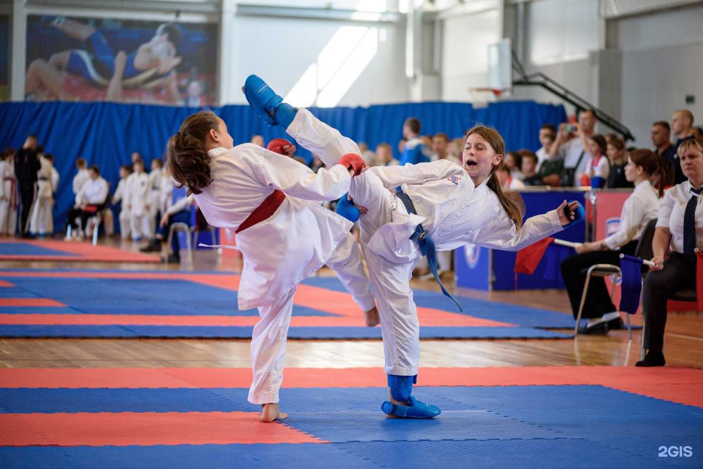 Отзывы на компанию Амарок в г. Воронеж c фото