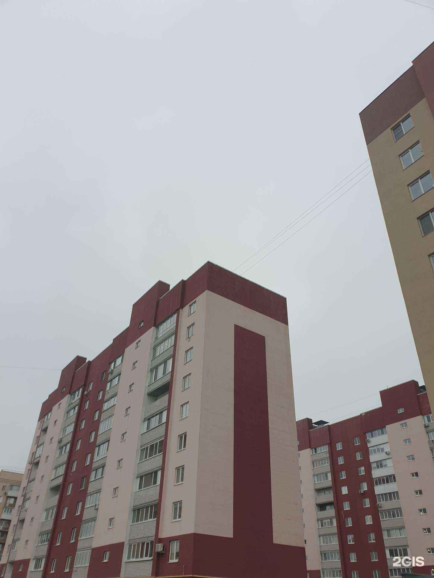 Отзывы на компанию Эдельвейс в Саратове c фото - фотография 2 из 2