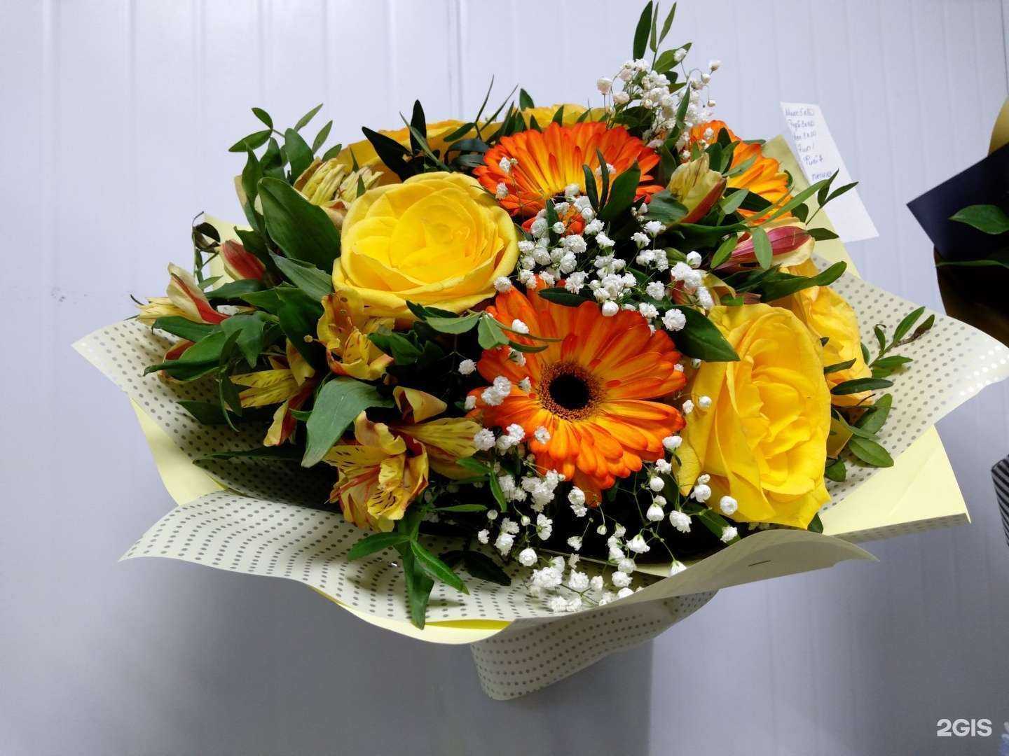 Отзывы на компанию Лантана в г. Кострома c фото