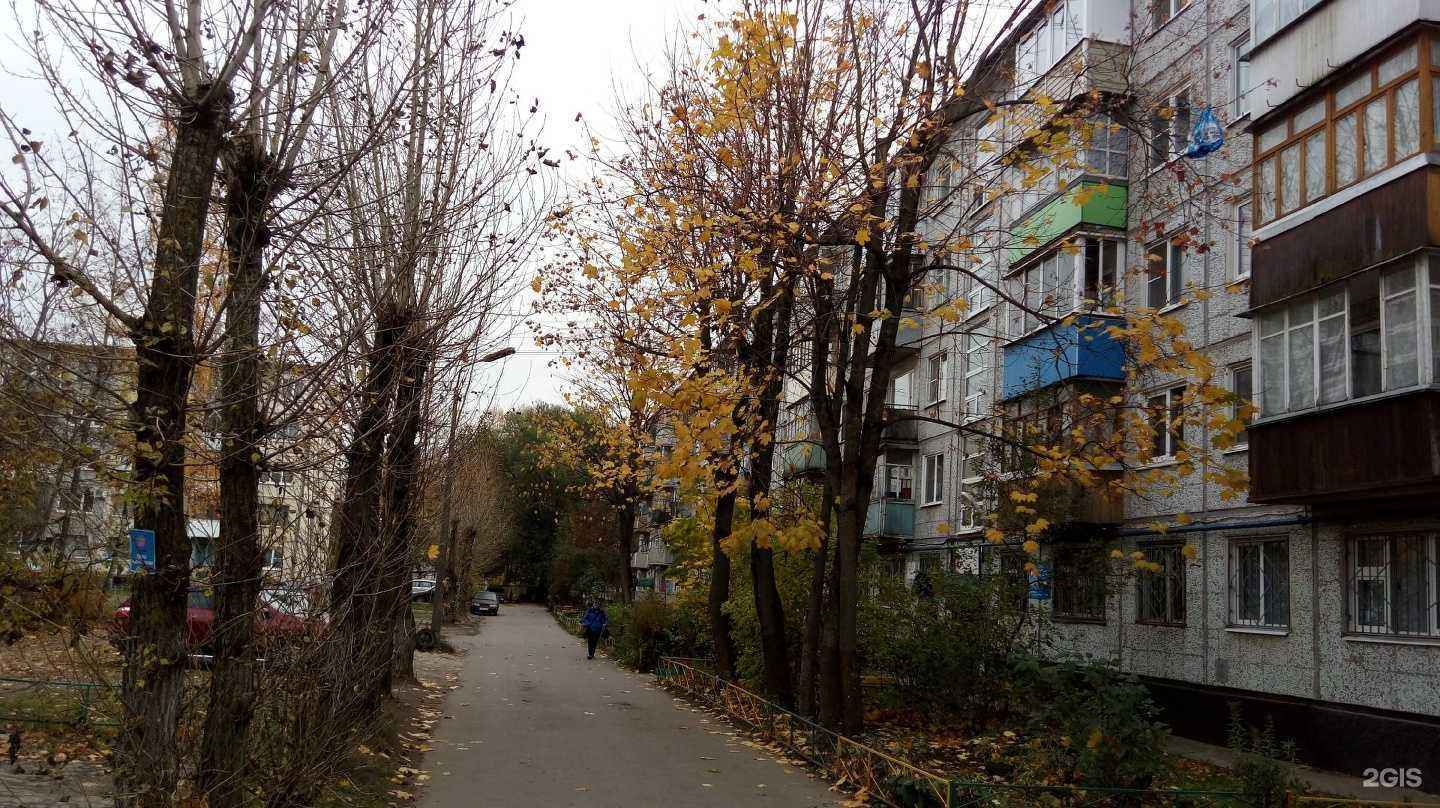 Отзывы на компанию СЭНЭ в Великом Новгороде c фото