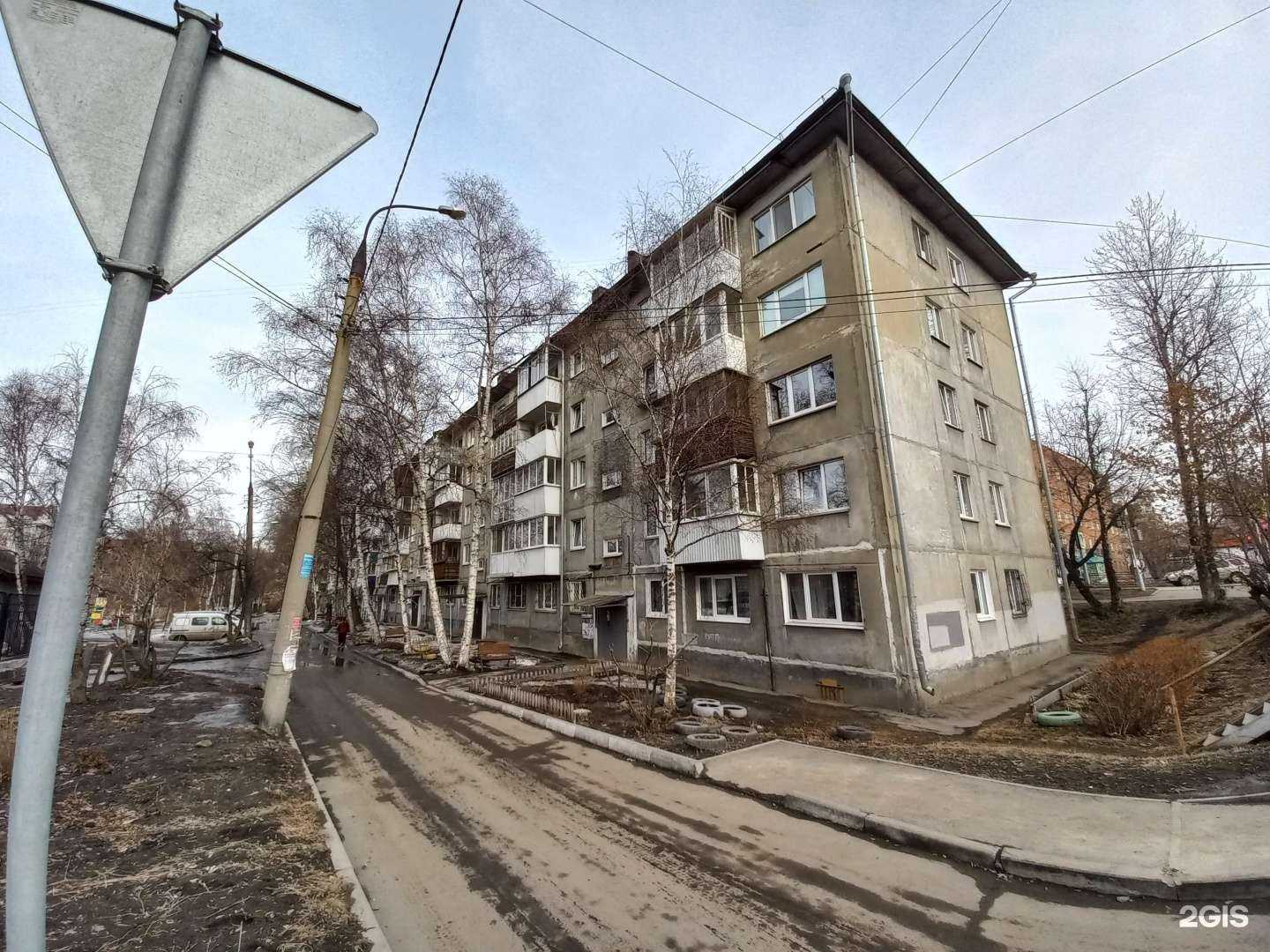 Отзывы на компанию Друг лохматый Лола в Иркутске c фото - фотография 2 из 2