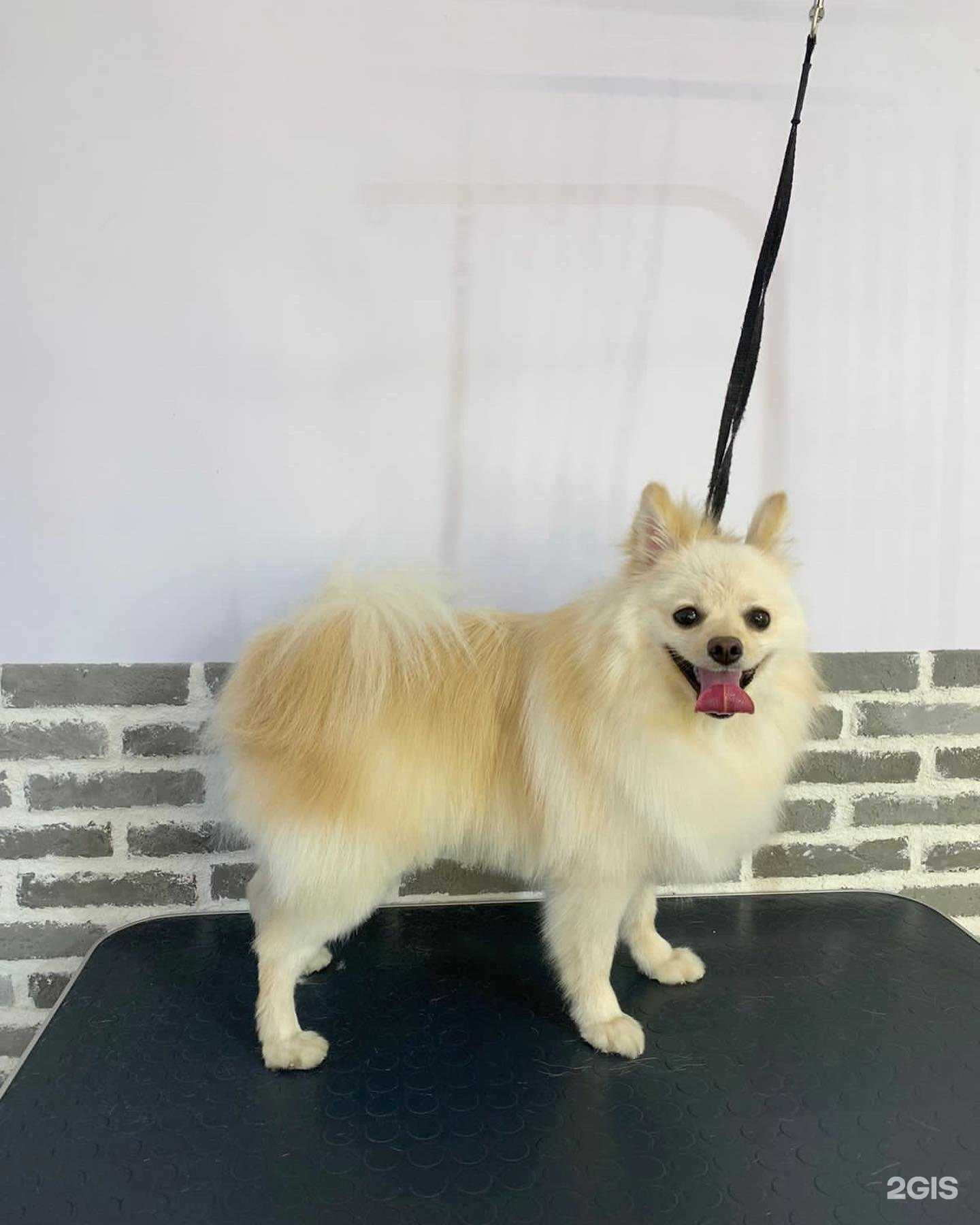 Отзывы на компанию Yumi в Якутске c фото