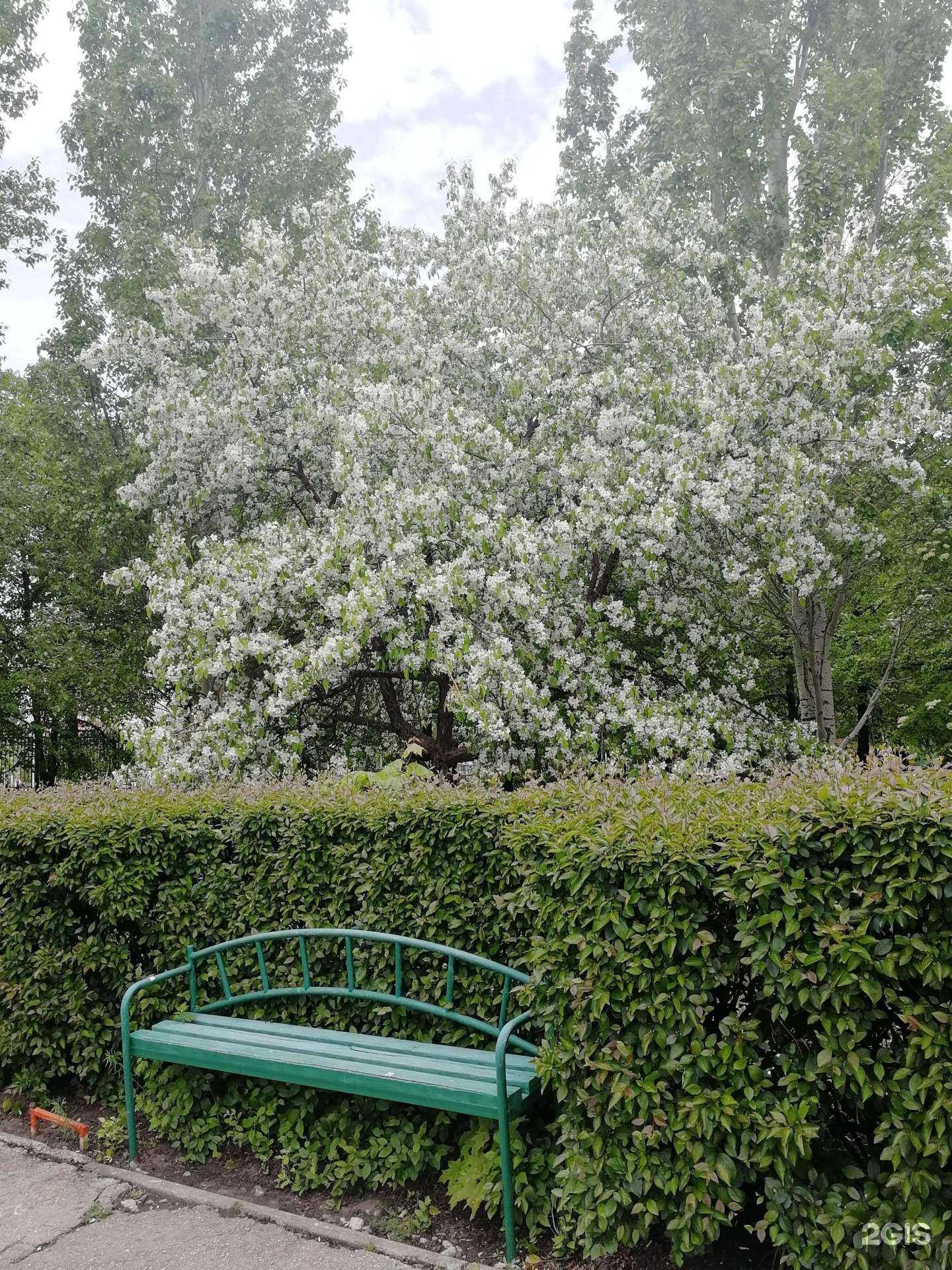 Отзывы на компанию Пульс в г. Тольятти c фото