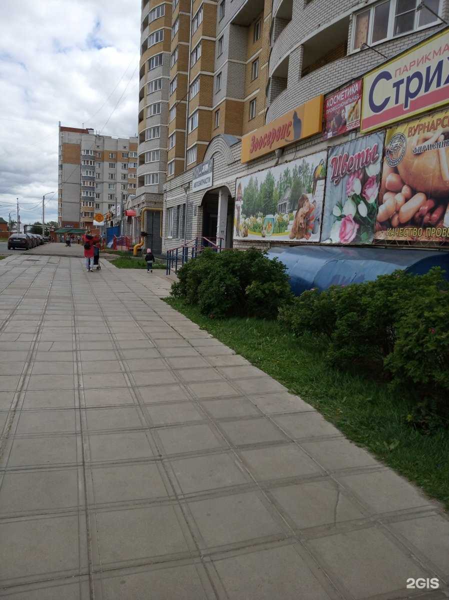 Отзывы на компанию Еврозапчасти в Чебоксарах c фото