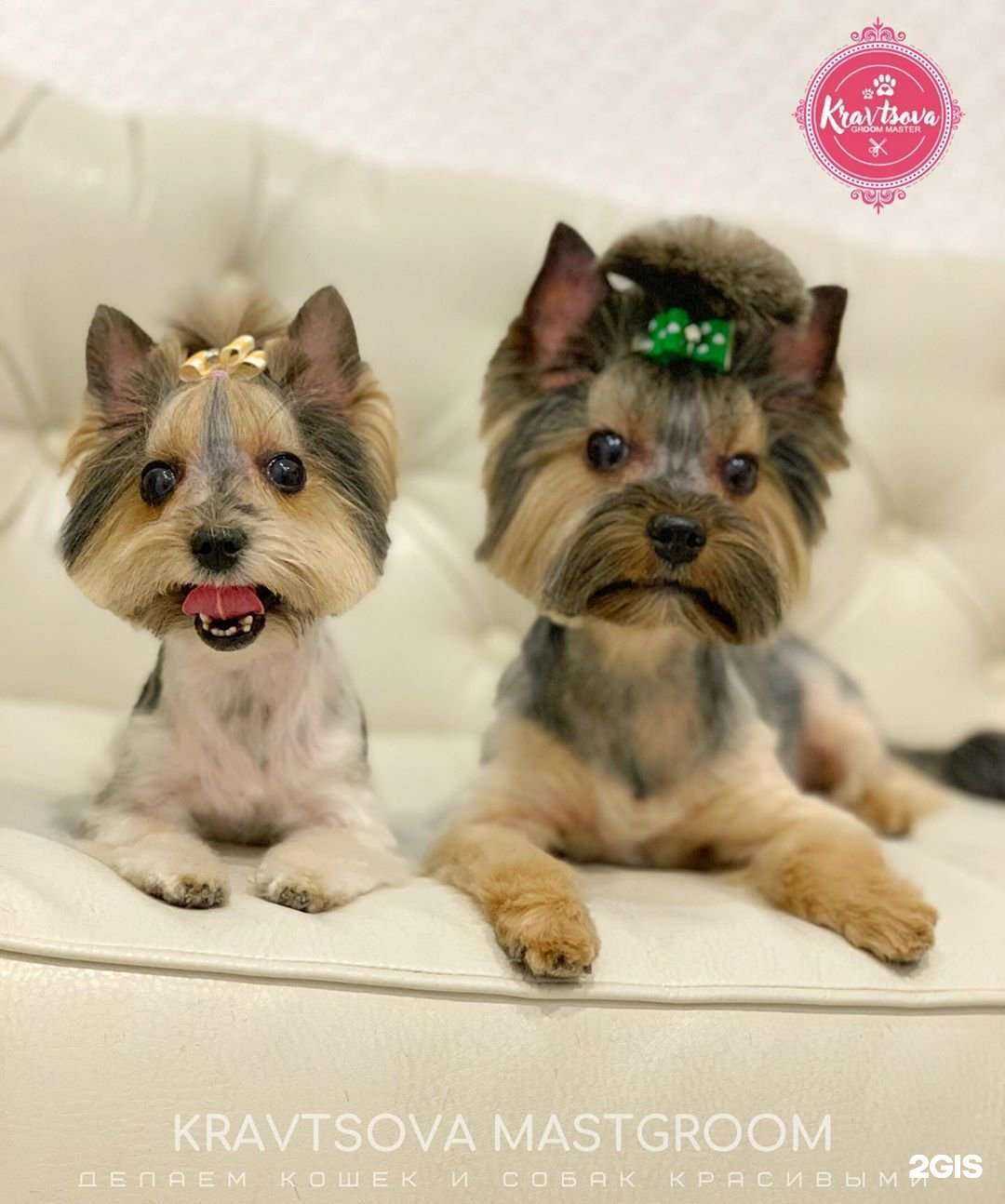 Отзывы на компанию Kravtsova mastgroom в Белгороде c фото