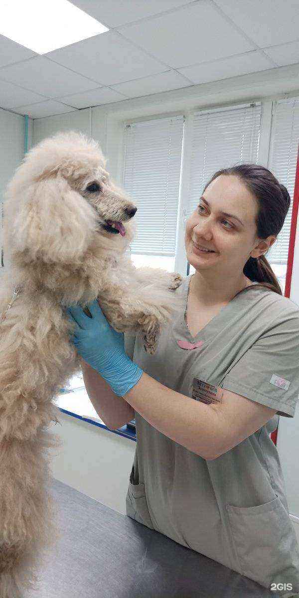 Отзывы на компанию Бетховен в г. Курск c фото