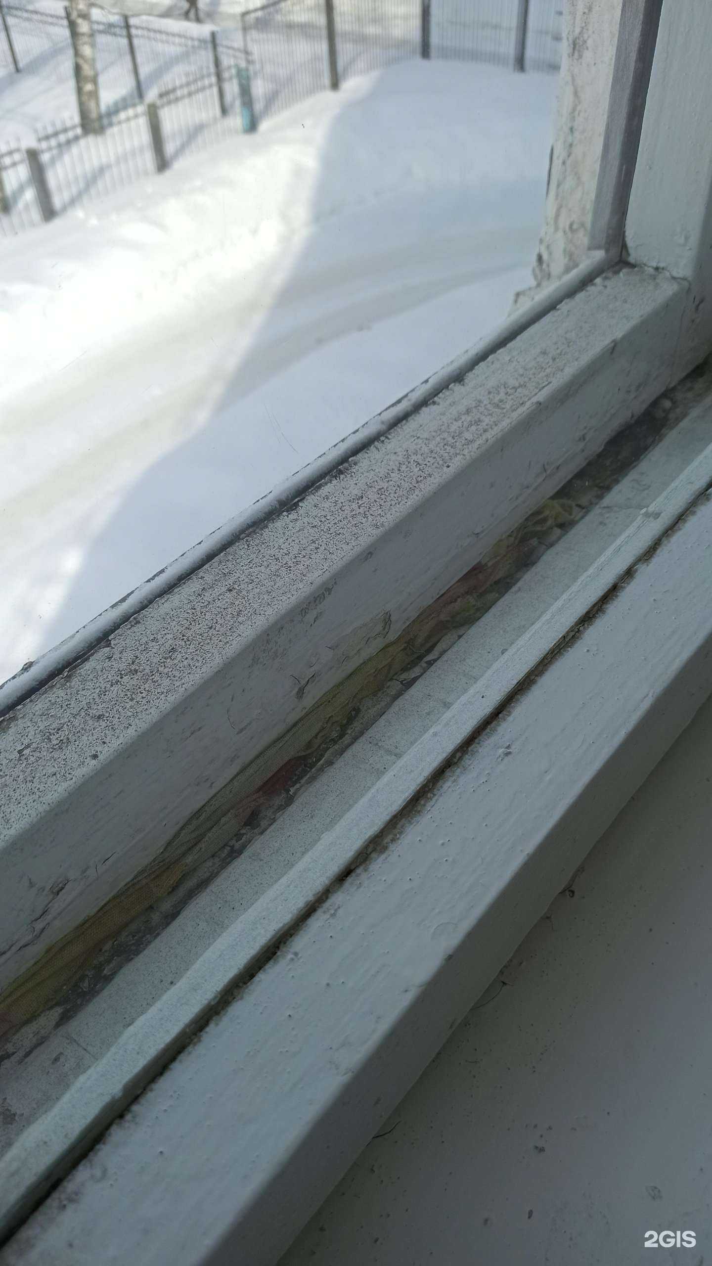 Отзывы на компанию Поликлиника №4 в Саранске c фото