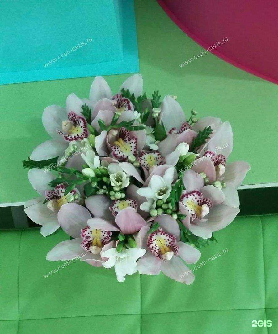 Отзывы на компанию Оазис в Махачкале c фото