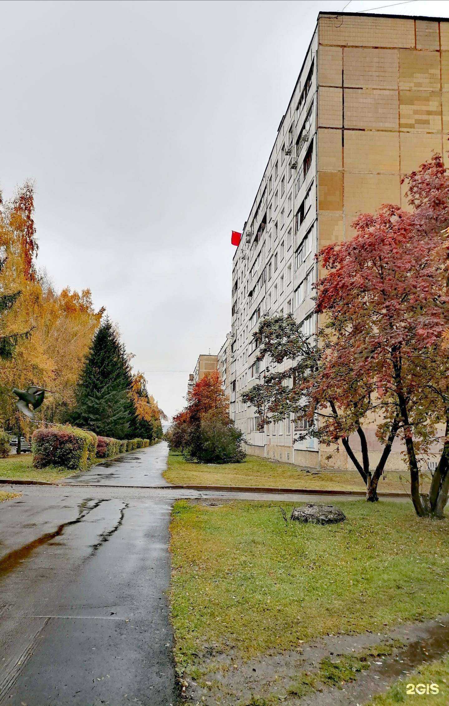 Отзывы на компанию Цирюльня в Кемерове c фото - фотография 2 из 2