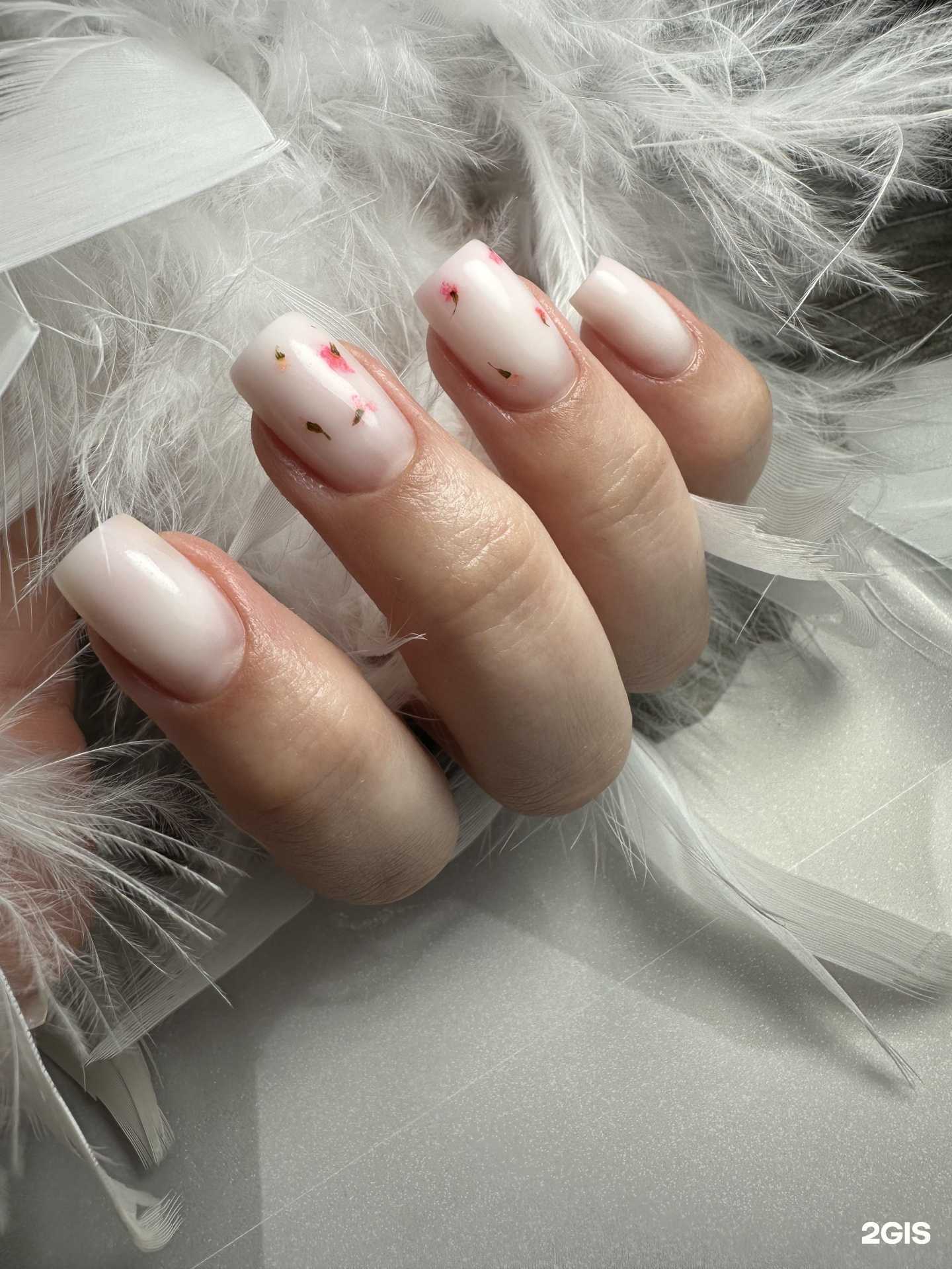 Отзывы на компанию 2д в г. Воронеж c фото