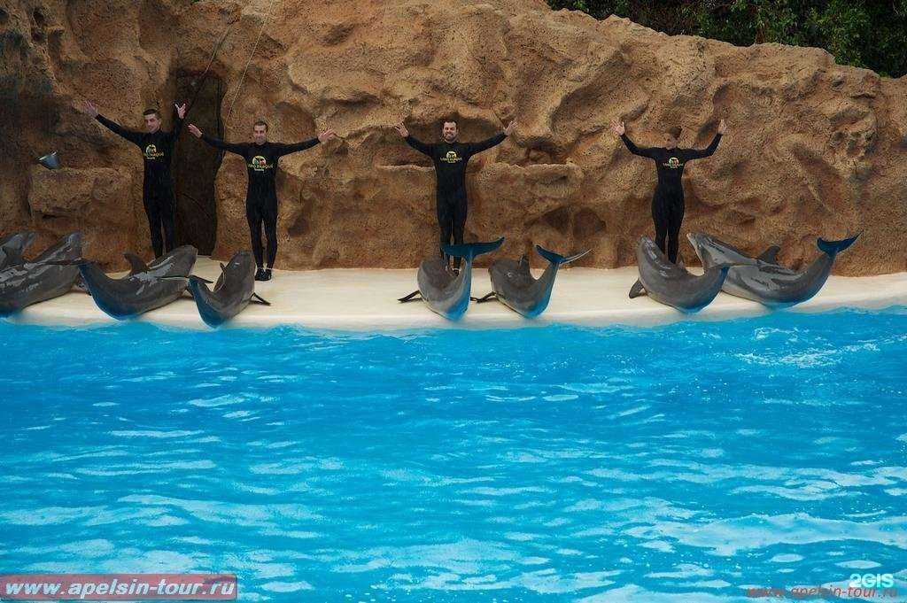 Отзывы на компанию Апельсин в г. Брянск c фото