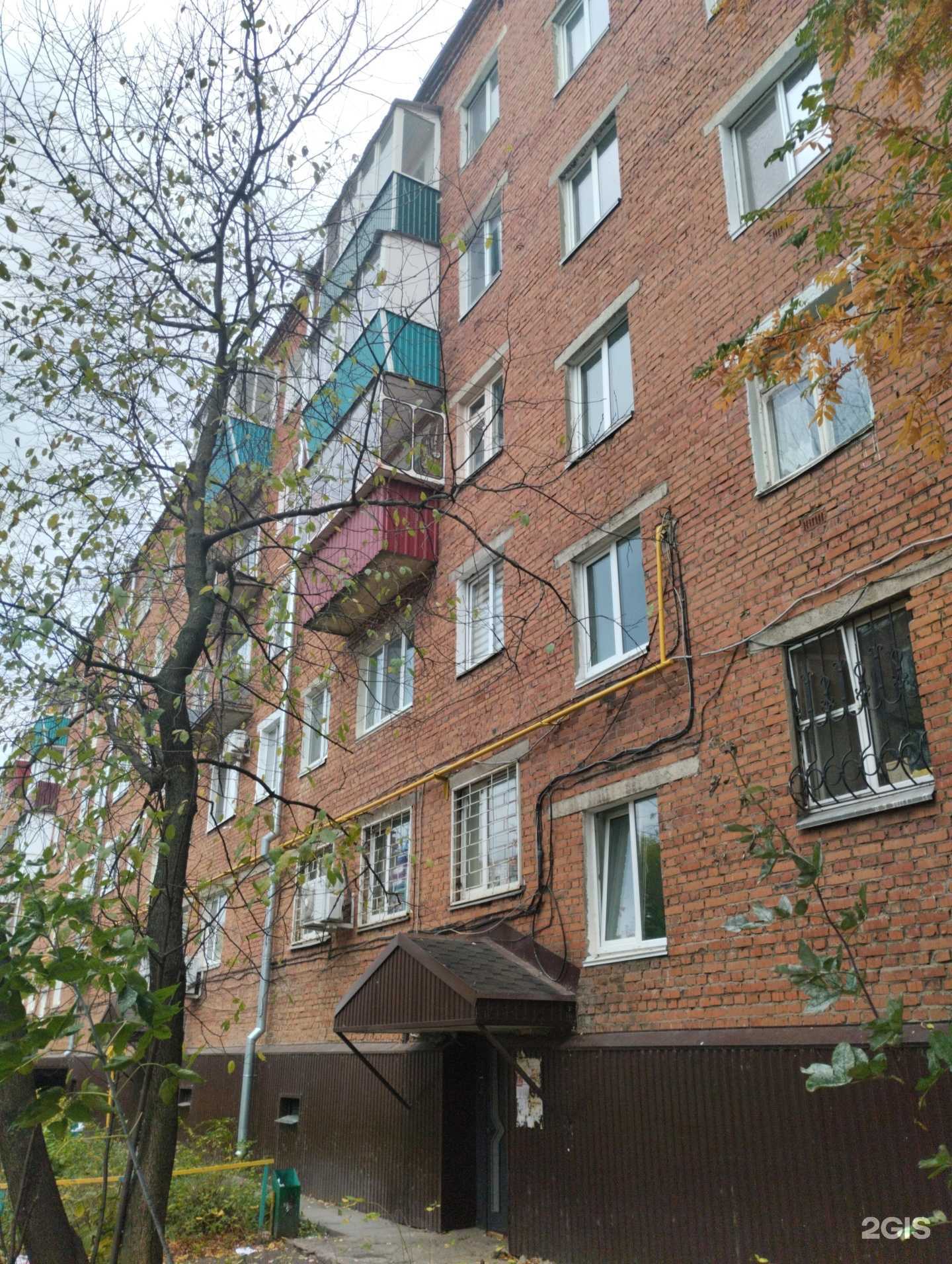 Отзывы на компанию Мир цветов в Сарапуле c фото - фотография 2 из 2