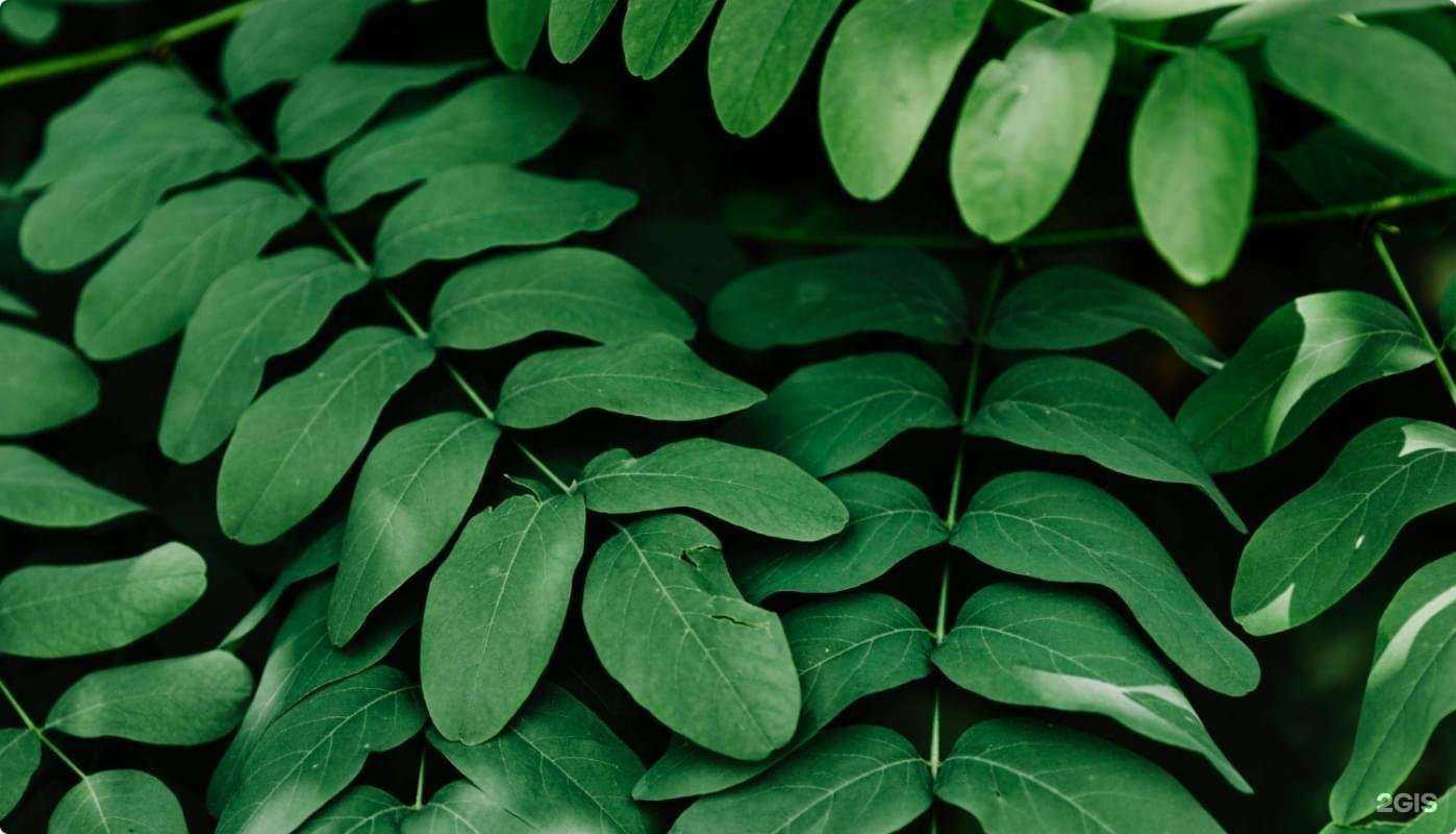 Отзывы на компанию Эконта в г. Тюмень c фото