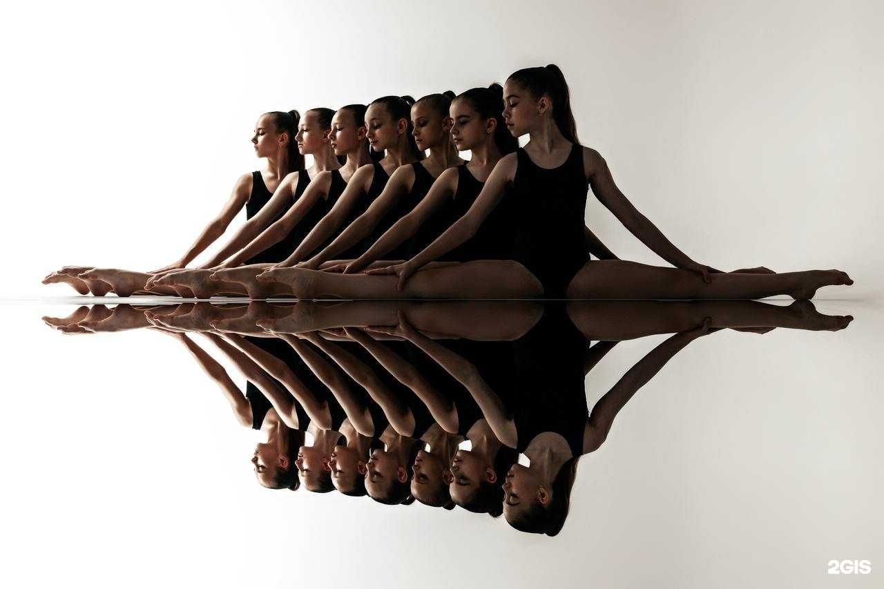 Отзывы на компанию Даис в Ставрополе c фото