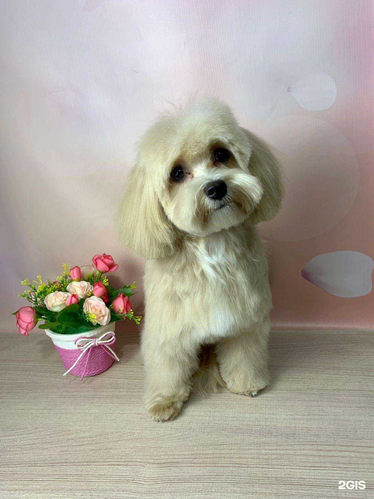 Отзывы на компанию 1st groom в Казани c фото